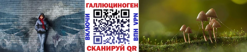 Псилоцибиновые грибы Psilocybine cubensis Чистополь